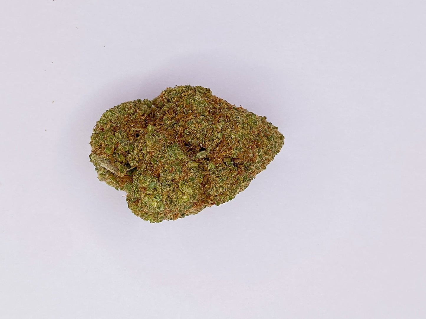 Californienne Tangerine Dream 2Gr