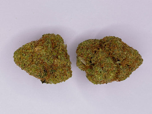 Californienne Tangerine Dream 2Gr